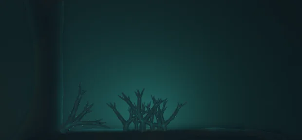 Coral attached to illuminated rock in a dark habitat